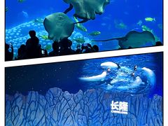 -珠海长隆海洋王国