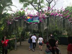 -新加坡飞禽公园