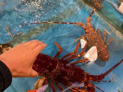 -渔公码头·九龙湾国际饭店