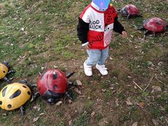 -云漫湖生态度假公园