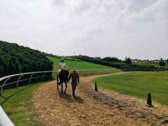 -迪茵湖田家舍生态农场