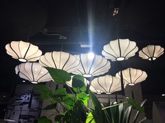 -茶花妹子云南餐厅(北大店)