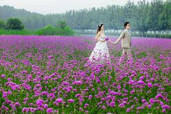 android_upload_pic-戛纳印象摄影(潮拍定制馆)