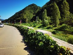 -老李客栈民宿餐厅