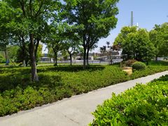 -映月湖中央公园