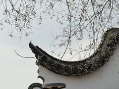 -三林塘老街