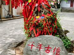 -青檀寺景区