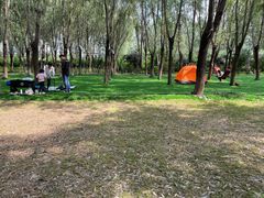 -草根堂农场