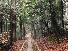 -龙井壹号·茶缘山景宴(龙井村店)