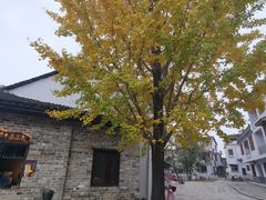 -羊楼洞