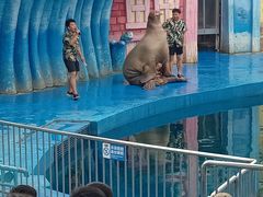 -华夏文旅海洋公园