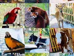 -水上乐园·欢乐世界