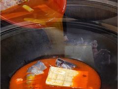 -老刘生态大鱼坊铁锅炖鱼(赛马场店)