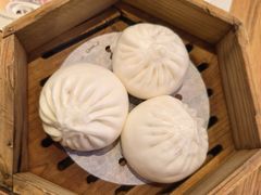 -美食小镇·观赏珍稀鸟类·长隆熊猫酒店