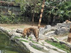 -深圳野生动物园