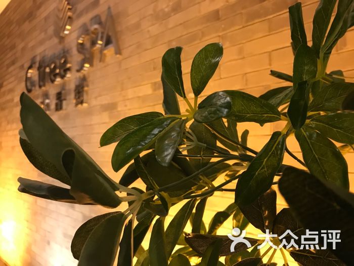 水晶树温泉·spa(朝阳店)图片 - 第10张