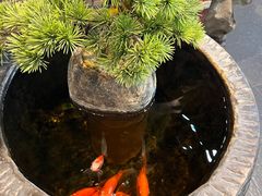 -阜昌典当行(阜成门店)