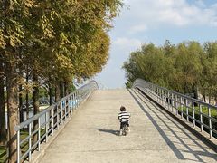 -上海月湖雕塑公园