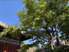 -红螺寺