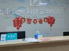 -宠颐生贝利健动物医院(谢家湾分院)