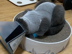 -联合动物医院(光谷诊疗中心)