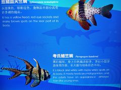 -广州海洋馆