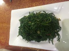 炝拌沙葱-国强手抓(北京西路店)