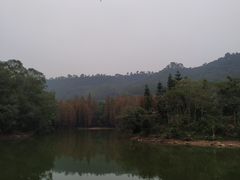 -滴水岩森林公园