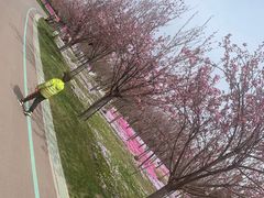 -南通洲际绿博园