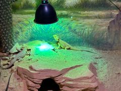 -正佳雨林生态植物园