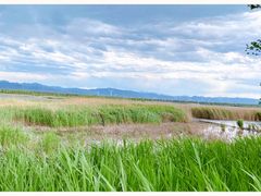 -野鸭湖国家湿地公园