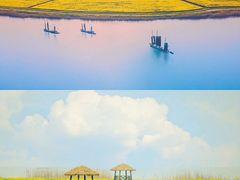 -渌洋湖湿地公园