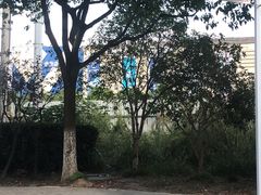 -盒马X会员店(上海森兰商都店)