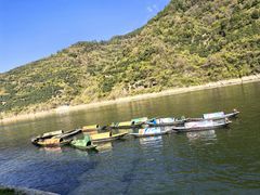 -新安江山水画廊风景区