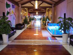 -汤连得温泉馆(宝山店)