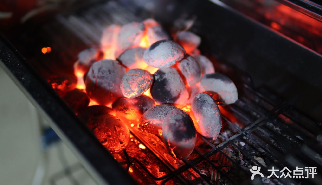 逃离城市|开车一小时到崇明去烧烤