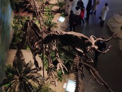 -自贡恐龙博物馆