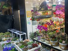 -溪岸路花鸟市场
