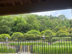 -龙头寺公园