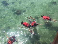 -东姑阿都拉曼海洋公园