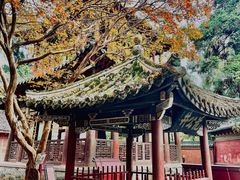 -报恩寺(平武县)