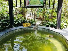 -嘉和K6温泉微度假