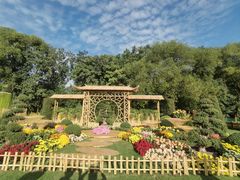 -上海共青森林公园