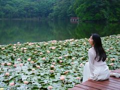 -广州市石门国家森林公园