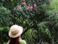 -成都市活水公园