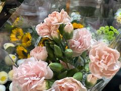 -循礼门鲜花花市(武汉循礼门店)