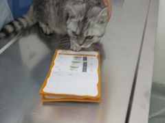 -汪喵宠物医院·骨科心脏影像·犬猫急重症ICU诊疗中心(成华分院)