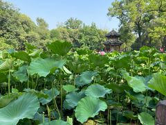 -房湖公园