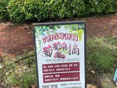 -嘉北郊野公园