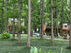 -黄海国家森林公园